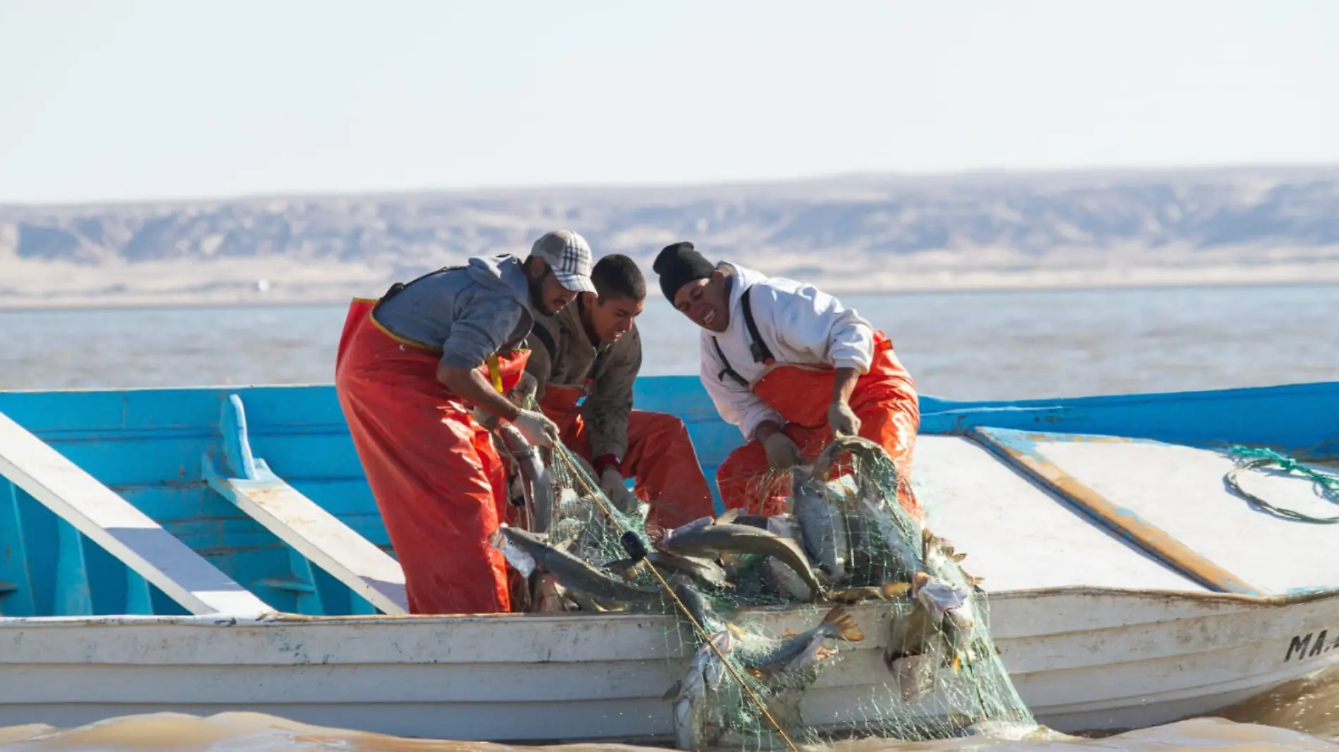 Pesca ilegal Oceana 